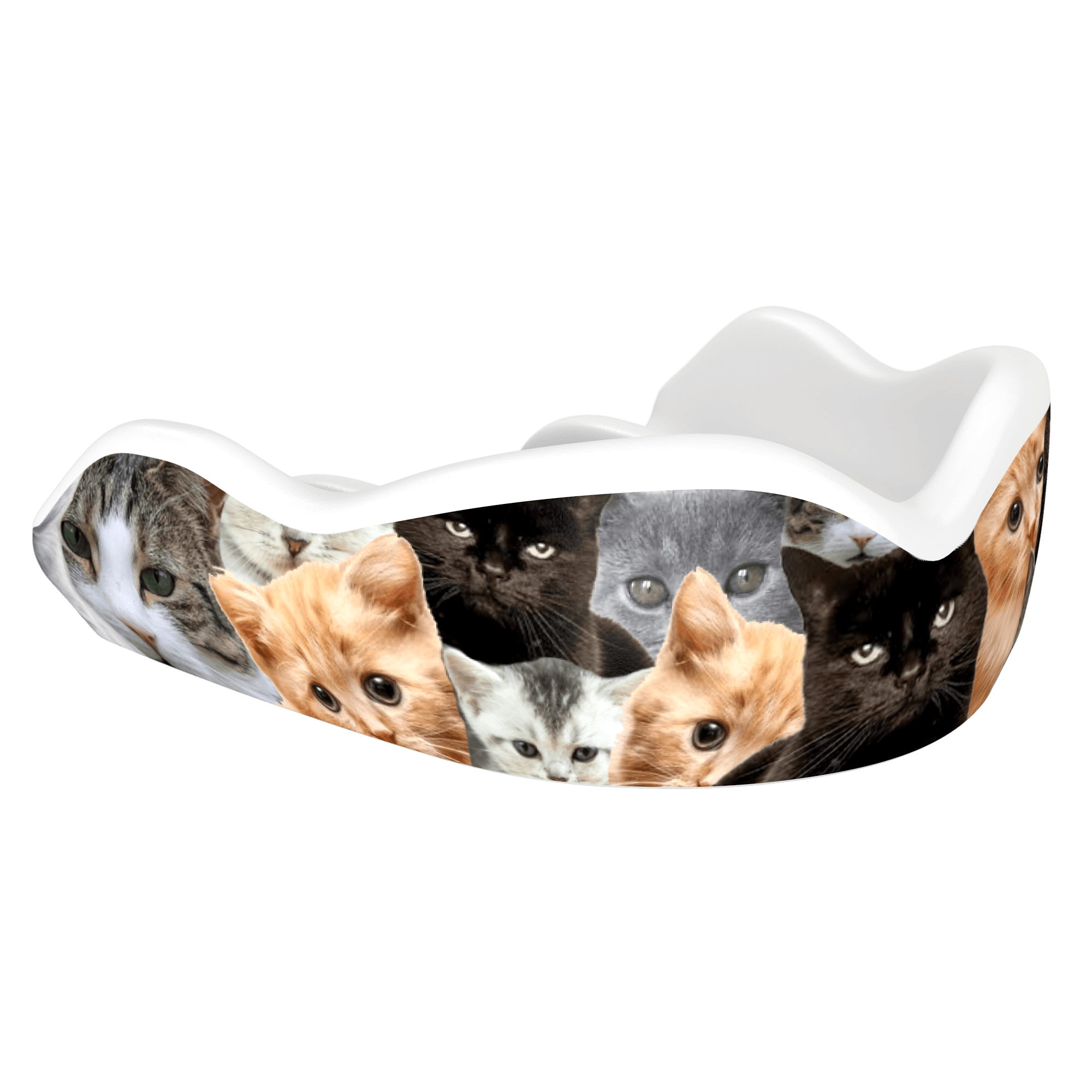 Kitty CATastrophe (HI) - Damage Control Mouthguards