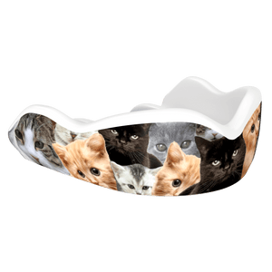 Kitty CATastrophe (HI) - Damage Control Mouthguards